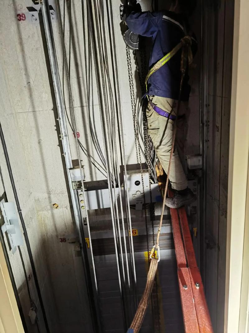 电梯安装、改造、修理和维护保养的要求是什么?